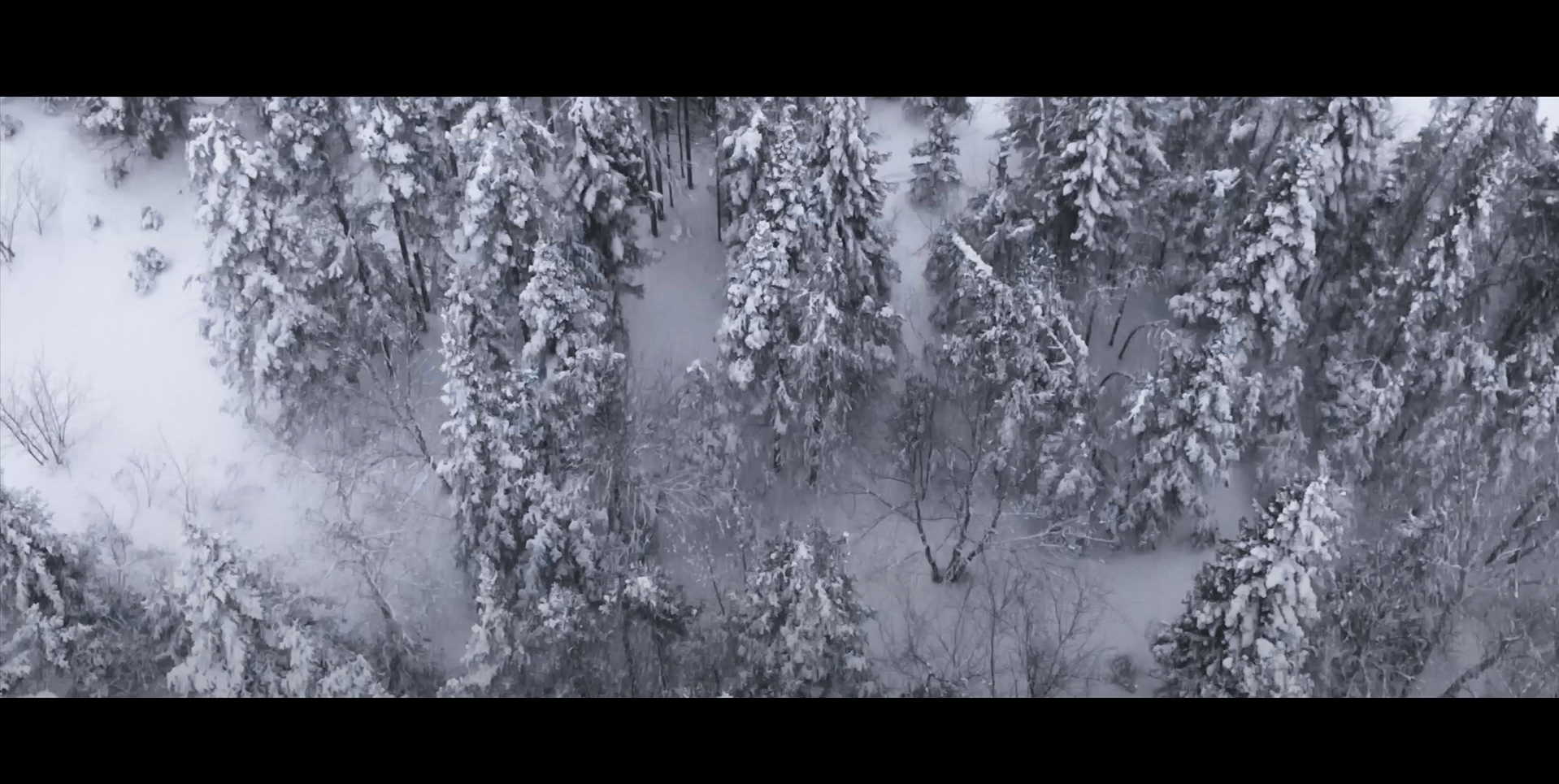 Our Winter Video